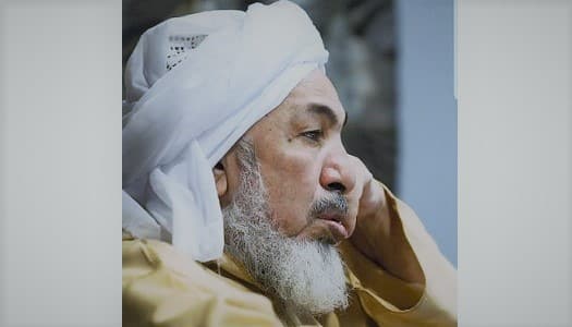 الشيخ عبد الله بن بيه - مجلس حكماء المسلمين - وثيقة الاخوة الانسانية